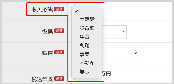 申込時の「収入形態」に関する選択項目